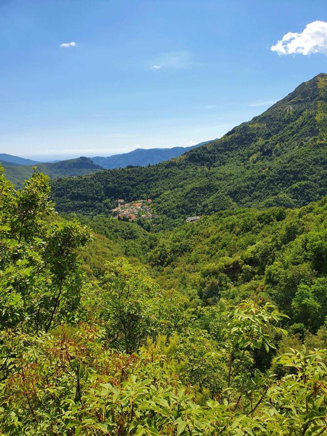 Il Bosco Di Campo Marzano Garden Apartments Borzonasca Buitenkant foto