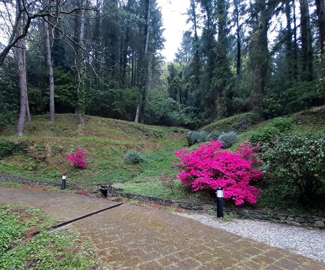 Il Bosco Di Campo Marzano Garden Apartments Borzonasca Buitenkant foto