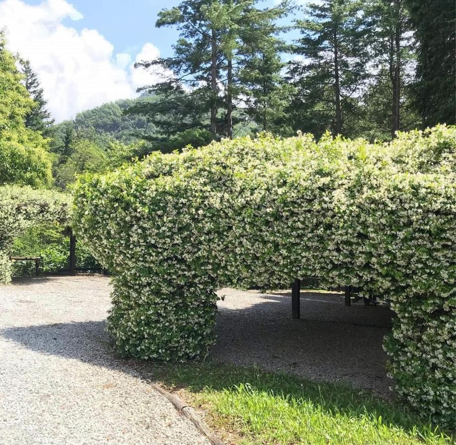 Il Bosco Di Campo Marzano Garden Apartments Borzonasca Buitenkant foto