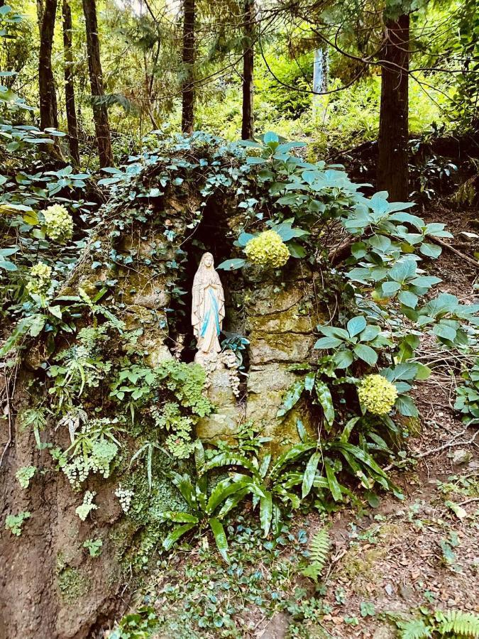 Il Bosco Di Campo Marzano Garden Apartments Borzonasca Buitenkant foto