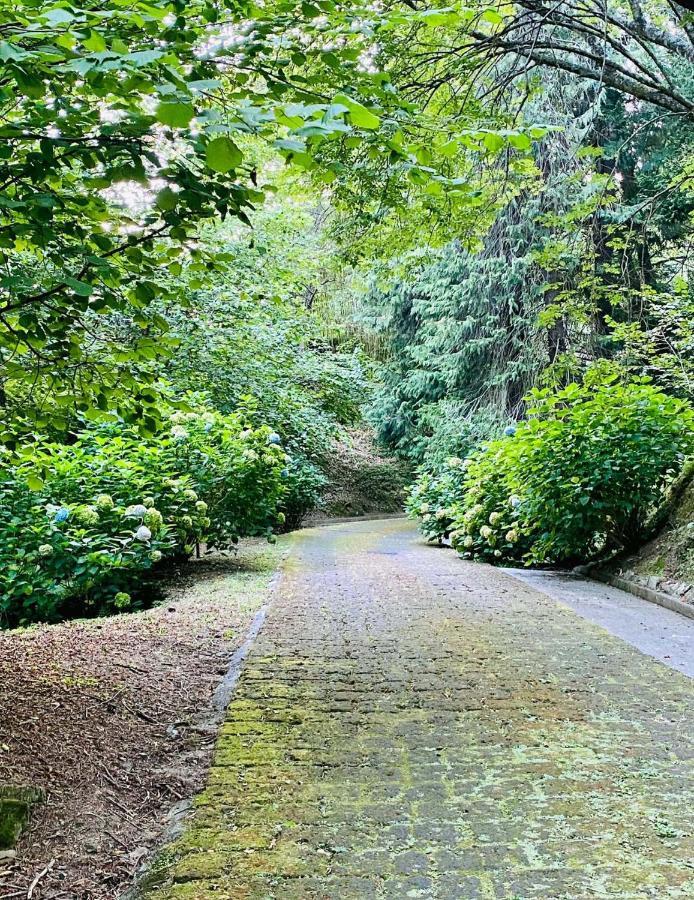 Il Bosco Di Campo Marzano Garden Apartments Borzonasca Buitenkant foto