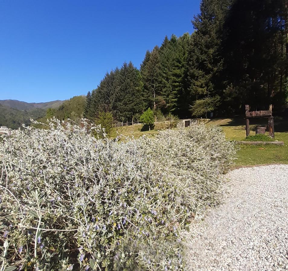 Il Bosco Di Campo Marzano Garden Apartments Borzonasca Buitenkant foto