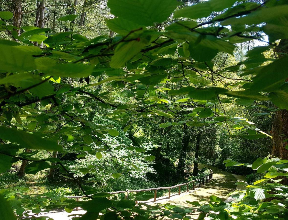Il Bosco Di Campo Marzano Garden Apartments Borzonasca Buitenkant foto